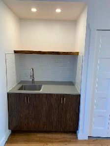 Appartement 3 1/2 à louer Quartier Rosemont - Photo 4