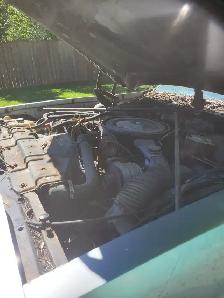 cutlass supreme - Photo 7