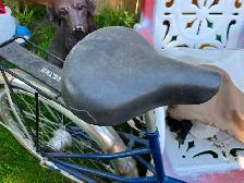 Unusual Bicycles - Photo 3