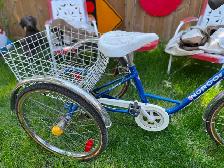 Unusual Bicycles - Photo 8