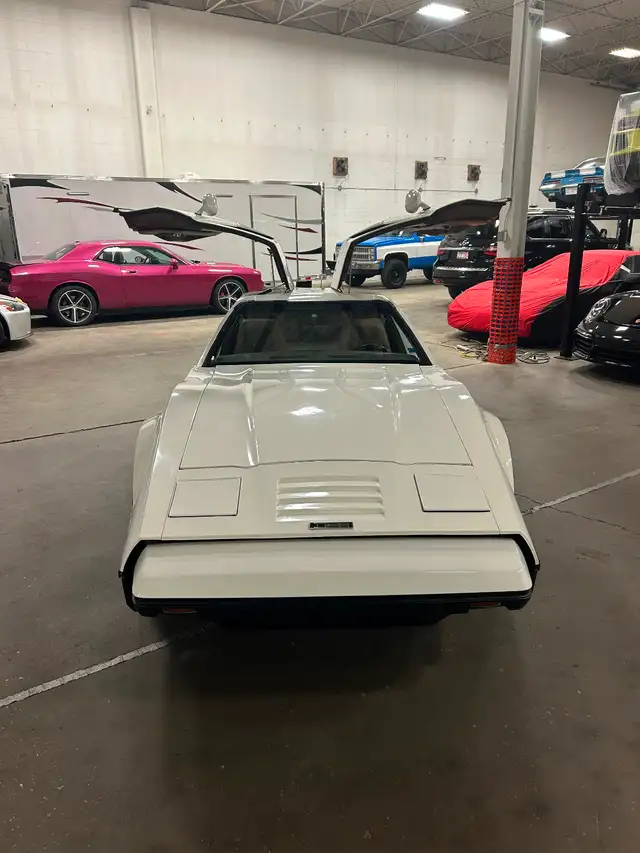 ONE OF ONE 1976 SAFETY WHITE BRICKLIN, ONLY ONE PRODUCED