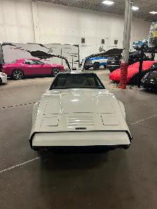 ONE OF ONE 1976 SAFETY WHITE BRICKLIN, ONLY ONE PRODUCED