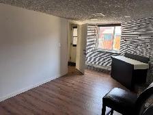 Room Rent (Big)-St. Clair & Brimley-Scarborough - Photo 5