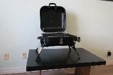Portable Gas Grills