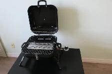 Portable Gas Grills - Photo 2