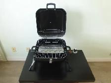 Portable Gas Grills - Photo 6