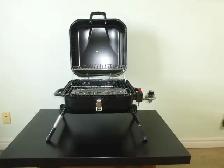 Portable Gas Grills - Photo 7