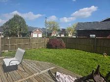 grass mow