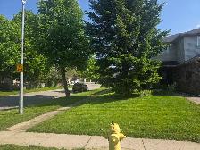 grass mow - Photo 2