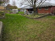 grass mow - Photo 3