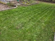 grass mow - Photo 4