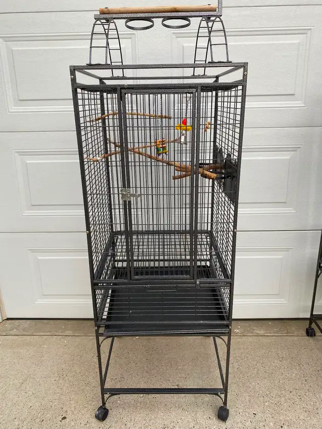 LIKE NEW SANITIZED CAGES WITH PLAYTOP