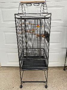 LIKE NEW SANITIZED CAGES WITH PLAYTOP