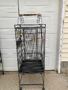 LIKE NEW SANITIZED CAGES WITH PLAYTOP - Photo 2