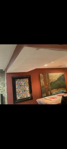 DRYWALL INSTALL / PLASTER - Photo 8