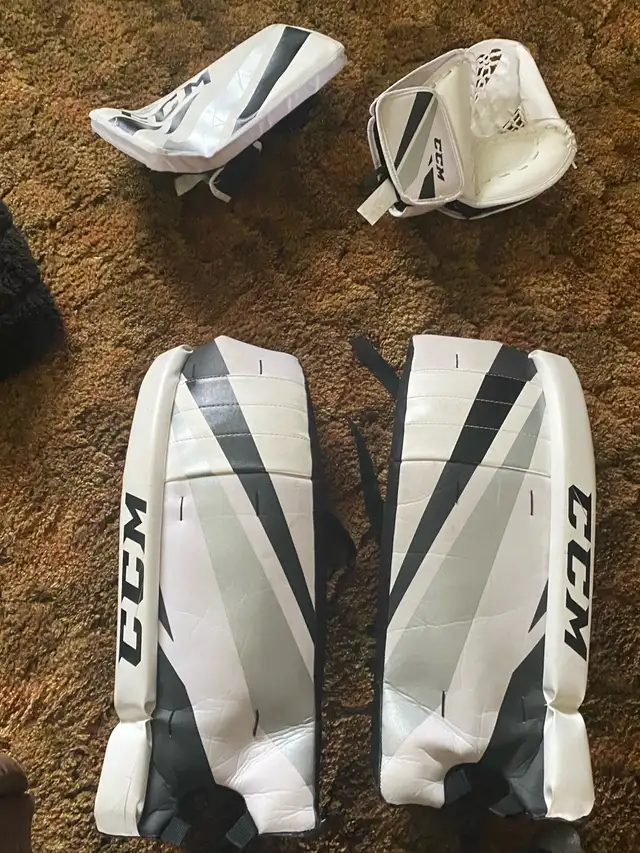 kids street hockey goalie set