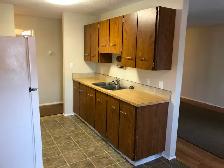 Red Deer 1 bdrm suite 1150.00 per mth available June 1st - Photo 5