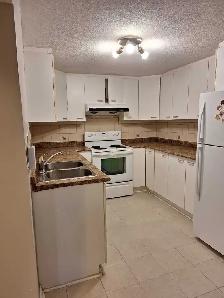2 Bedroom   1.5 Bathroom Basement Apartment - Photo 2