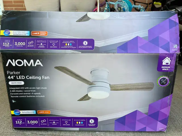 Ceiling fan