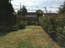 3 Bedroom   Office House for Rent! - Photo 10