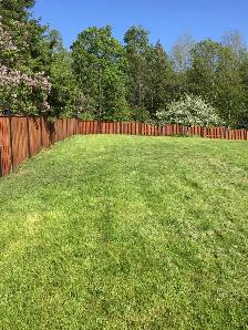 Deck and Fence Refinishing- Sanding and Staining - Photo 8