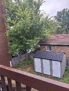 LONGUEUIL,  LIBRE IMMEDIATEMENT, OU 1er JUILLET, 3 CHAMBRES - Photo 6