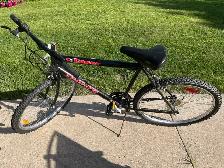 Bicycle for sale
