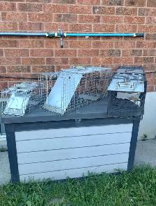 animal trap cage