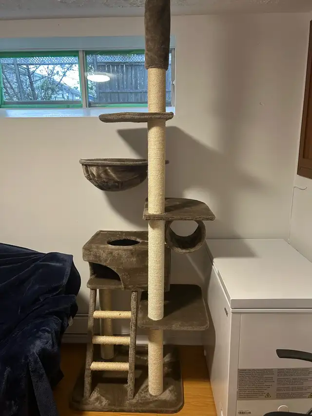 CAT TREE