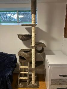 CAT TREE
