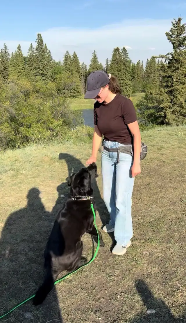 Dog Walking | Training | Boarding – Calgary