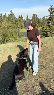 Dog Walking | Training | Boarding – Calgary