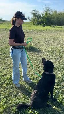 Dog Walking | Training | Boarding – Calgary - Photo 2
