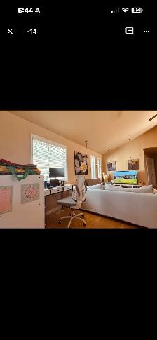 south windsor house for rent - Photo 5