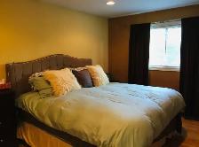 south windsor house for rent - Photo 9