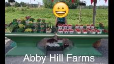 Summer Job -  Farmers Market