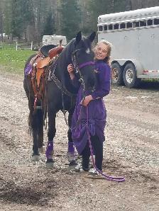 Beautiful Quarter horse cross.. Mare - Photo 3