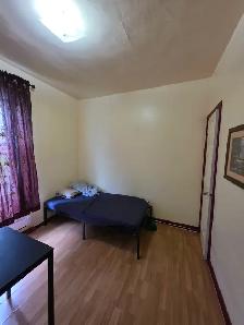 Grande chambre a louer libre de suite - Photo 3