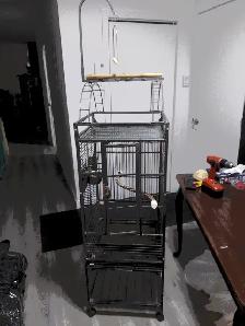Cage a Perroquet grande en metal $350. - Photo 2