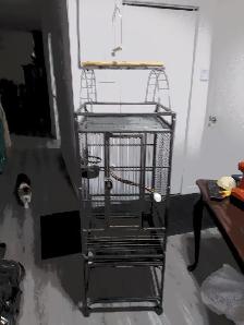 Cage a Perroquet grande en metal $350. - Photo 4