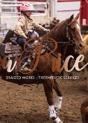 Horses for sale - Photo 2