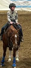 Horses for sale - Photo 7
