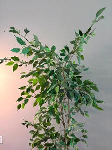 Fake Tree - Photo 2