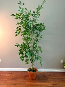 Fake Tree - Photo 5