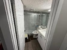 1-Bedroom Fully Furnished Basement for Rent | Girls Only - Photo 5