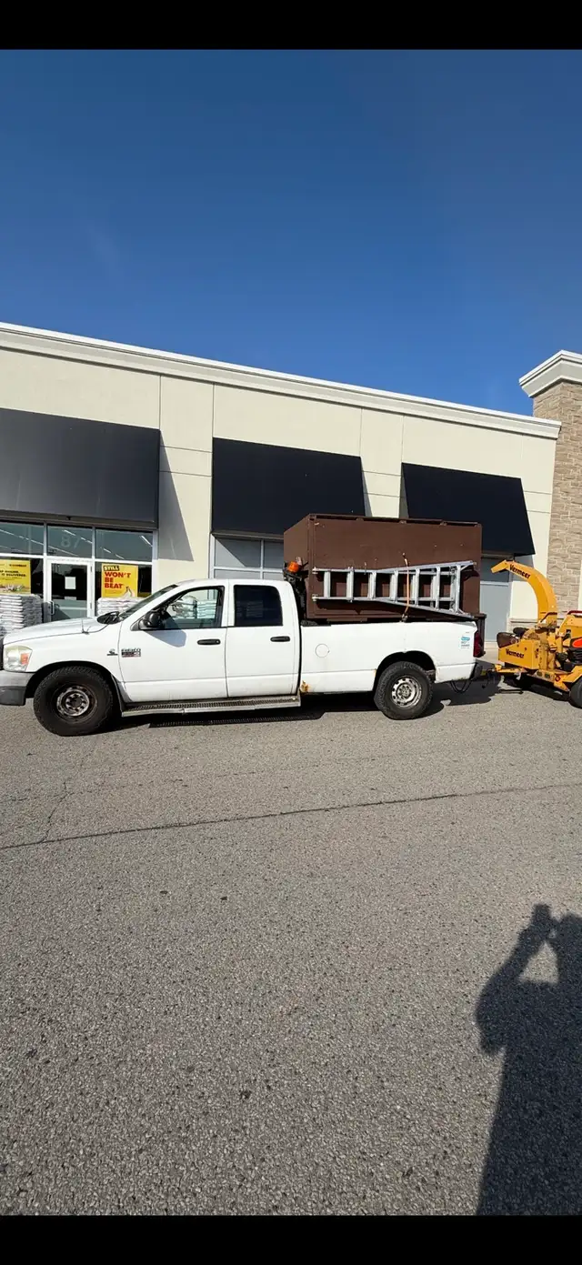 looking for someone with some experience in the Tree industry