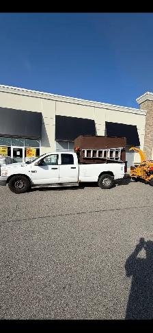 looking for someone with some experience in the Tree industry