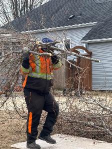 looking for someone with some experience in the Tree industry - Photo 2
