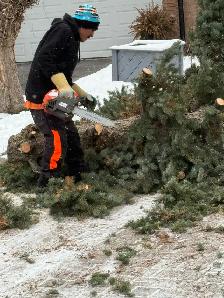 looking for someone with some experience in the Tree industry - Photo 6