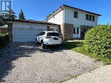 One living room and two bedrooms for Lease
